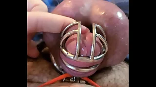 1353 toy porn videos